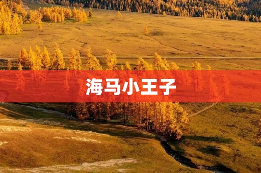 海马小王子:海洋世界的守护者 海马小王子:海洋世界的守护者