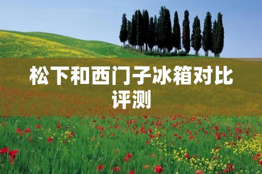 松下和西门子冰箱对比评测:哪个更好? 松下和西门子冰箱对比评测:哪个更好?