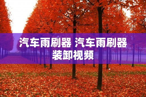 汽车雨刷器 汽车雨刷器装卸视频 汽车雨刷器 汽车雨刷器装卸视频