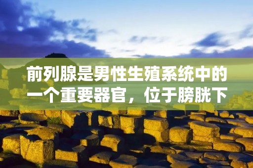 前列腺是男性生殖系统中的一个重要器官，位于膀胱下方，环绕着尿道。它的主要功能是产生和储存**，为**提供养分和保护。前列腺问题是男性常见的健康问题之一，包括前列腺炎、前列腺增生和前列腺癌等。本文将详细介绍前列腺的结构、功能以及与前列腺相关的常见疾病。