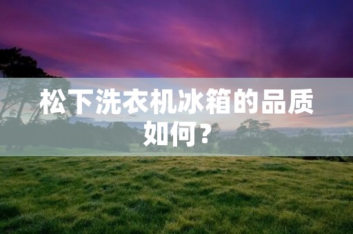 松下洗衣机冰箱的品质如何？