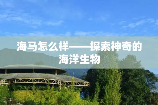 海马怎么样——探索神奇的海洋生物 海马怎么样——探索神奇的海洋生物