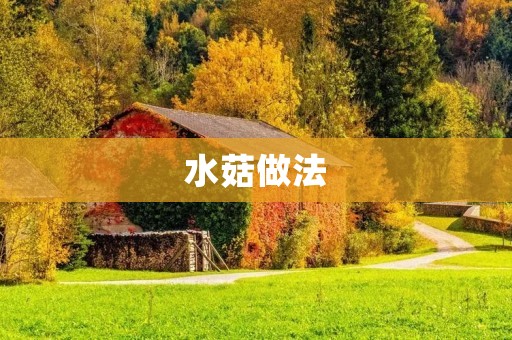 水菇做法:美味健康的佳肴 水菇做法:美味健康的佳肴