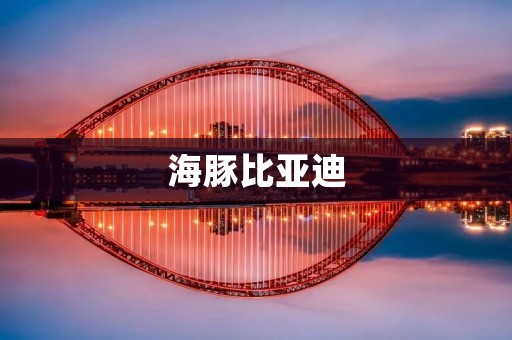 海豚比亚迪：开启智能出行新时代