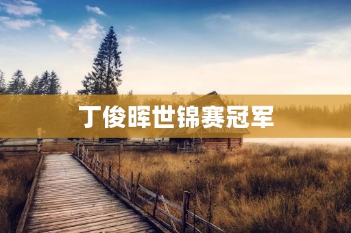 丁俊晖世锦赛冠军:英雄归来,再创辉煌 丁俊晖世锦赛冠军:英雄归来,再创辉煌
