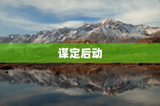 谋定后动:智慧决策的力量