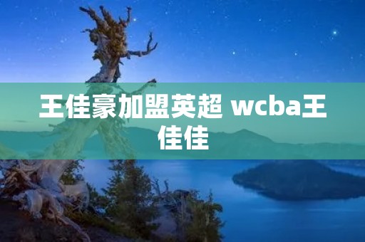 王佳豪加盟英超 wcba王佳佳
