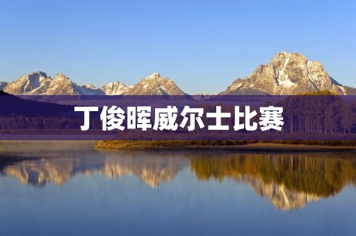 丁俊晖威尔士比赛:夺冠的背后故事 丁俊晖威尔士比赛:夺冠的背后故事