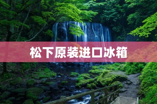 松下原装进口冰箱:品质保证,让你的生活更加便捷和舒适 松下原装进口冰箱:品质保证,让你的生活更加便捷和舒适