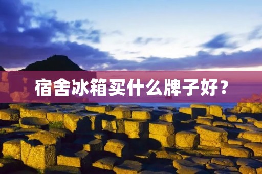 宿舍冰箱买什么牌子好？