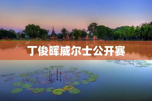 丁俊晖威尔士公开赛:一场华丽绽放的台球盛宴 丁俊晖威尔士公开赛:一场华丽绽放的台球盛宴