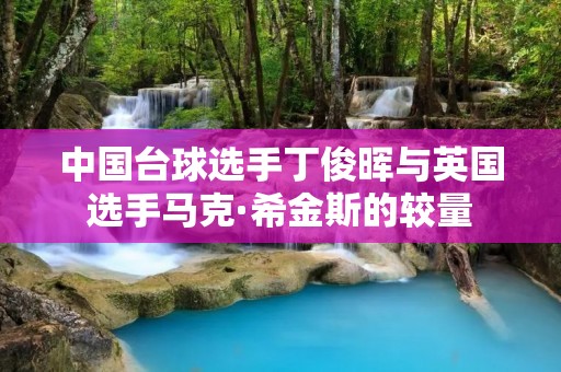中国台球选手丁俊晖与英国选手马克·希金斯的较量 中国台球选手丁俊晖与英国选手马克·希金斯的较量