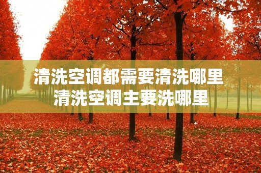 清洗空调都需要清洗哪里 清洗空调主要洗哪里 清洗空调都需要清洗哪里 清洗空调主要洗哪里
