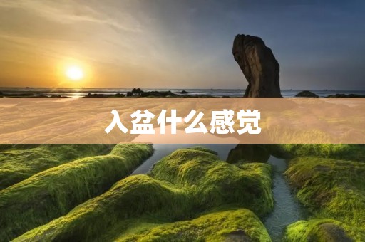入盆什么感觉：了解分娩过程中的身体变化与感受