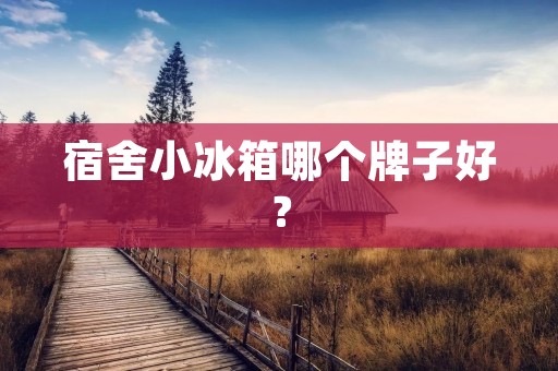 宿舍小冰箱哪个牌子好？