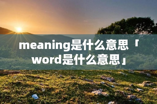 meaning是什么意思「word是什么意思」