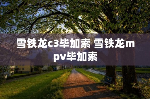 雪铁龙c3毕加索 雪铁龙mpv毕加索