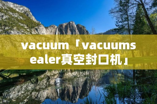 vacuum「vacuumsealer真空封口机」