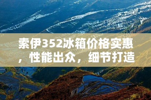 索伊352冰箱价格实惠,性能出众,细节打造完美家居生活 索伊352冰箱价格实惠,性能出众,细节打造完美家居生活