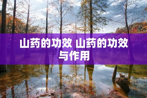 山药的功效 山药的功效与作用