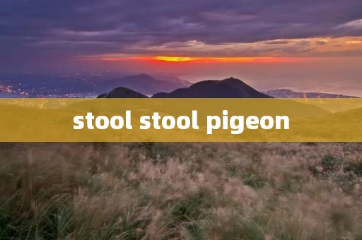 stool stool pigeon