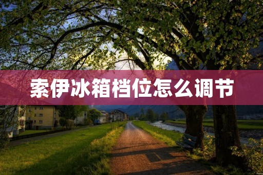 索伊冰箱档位怎么调节