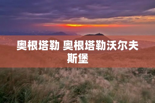 奥根塔勒 奥根塔勒沃尔夫斯堡 奥根塔勒 奥根塔勒沃尔夫斯堡