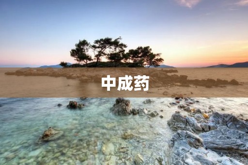 中成药:传承中医智慧的药物宝库