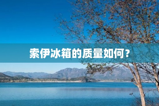 索伊冰箱的质量如何? 索伊冰箱的质量如何?
