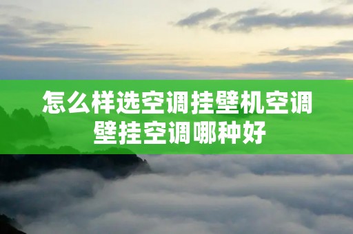 怎么样选空调挂壁机空调 壁挂空调哪种好