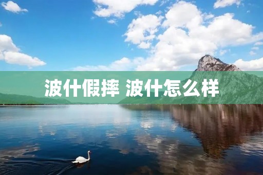 波什假摔 波什怎么样 波什假摔 波什怎么样
