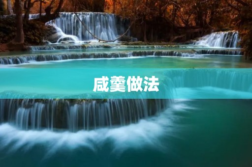 咸羹做法：简单易学的美味汤品
