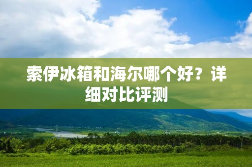 索伊冰箱和海尔哪个好？详细对比评测