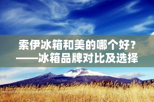 索伊冰箱和美的哪个好?——冰箱品牌对比及选择指南 索伊冰箱和美的哪个好?——冰箱品牌对比及选择指南
