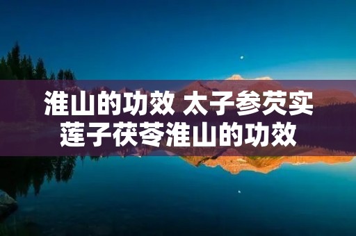 淮山的功效 太子参芡实莲子茯苓淮山的功效