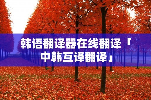 韩语翻译器在线翻译「中韩互译翻译」
