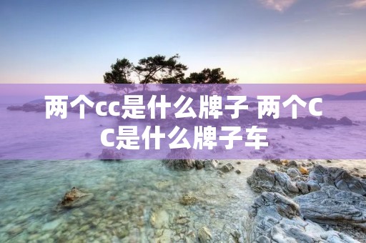 两个cc是什么牌子 两个CC是什么牌子车