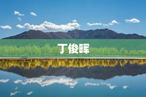 丁俊晖：中国台球运动的骄傲