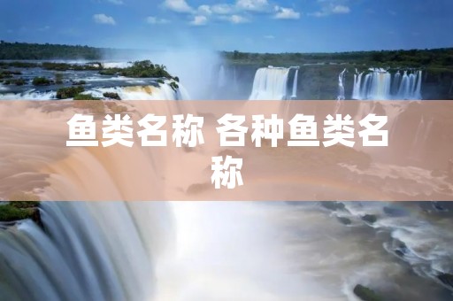 鱼类名称 各种鱼类名称