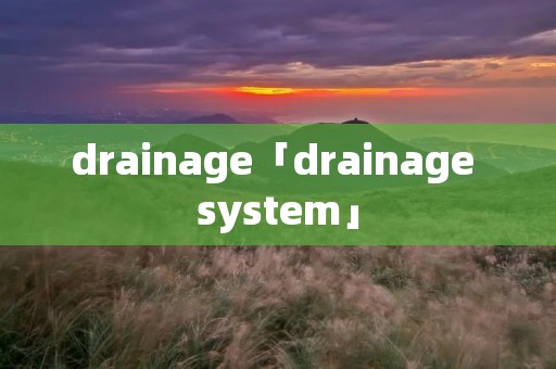 drainage「drainage system」