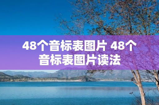 48个音标表图片 48个音标表图片读法
