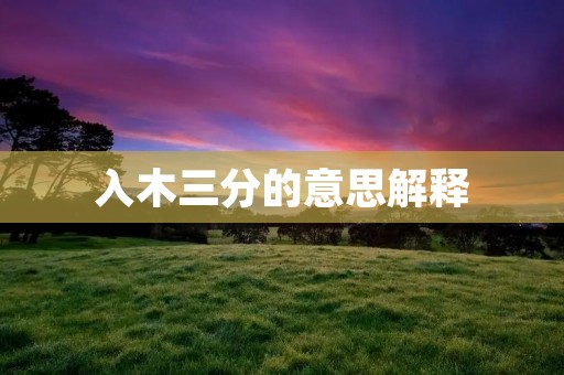 入木三分的意思解释