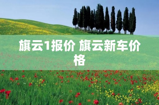 旗云1报价 旗云新车价格
