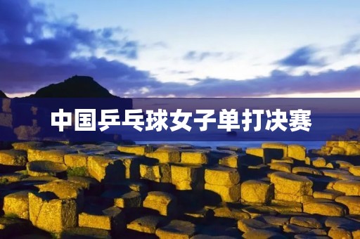 中国乒乓球女子单打决赛：丁宁vs金宋依