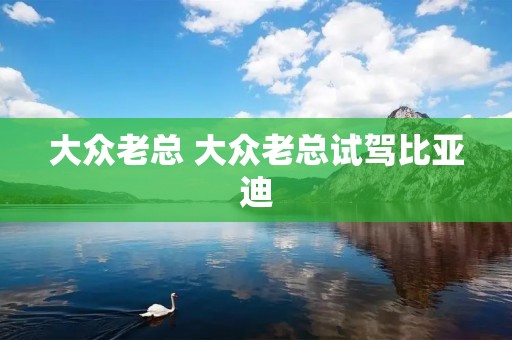大众老总 大众老总试驾比亚迪 大众老总 大众老总试驾比亚迪