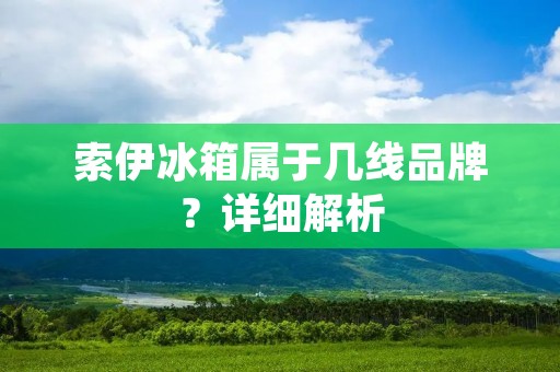 索伊冰箱属于几线品牌？详细解析