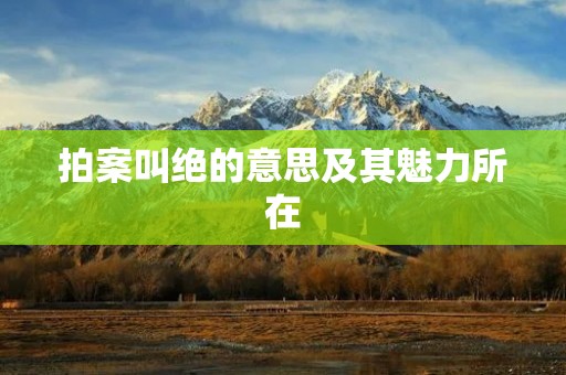 拍案叫绝的意思及其魅力所在