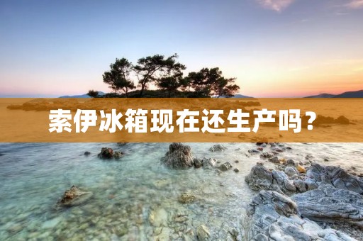 索伊冰箱现在还生产吗？