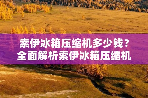 索伊冰箱压缩机多少钱？全面解析索伊冰箱压缩机的价格与性能