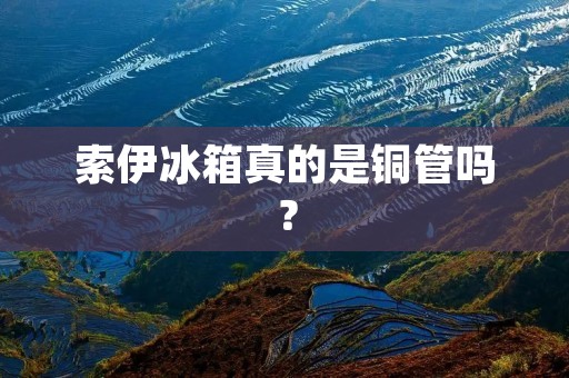 索伊冰箱真的是铜管吗? 索伊冰箱真的是铜管吗?